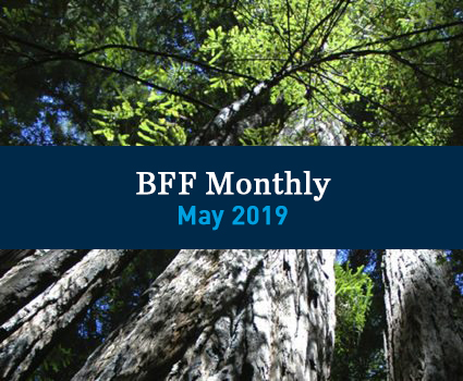 TAB-BFFMonthly-May2019